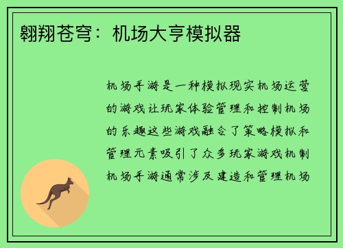 翱翔苍穹：机场大亨模拟器