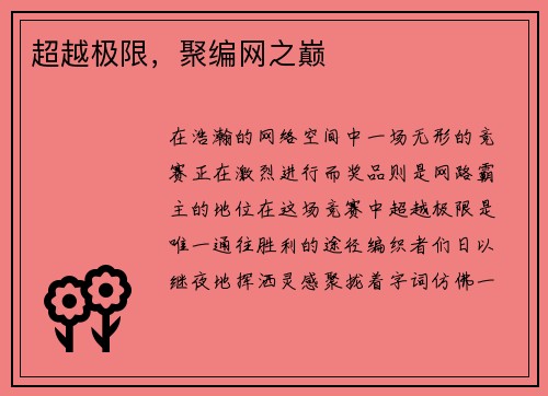 超越极限，聚编网之巅